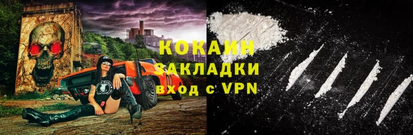крисы Баксан