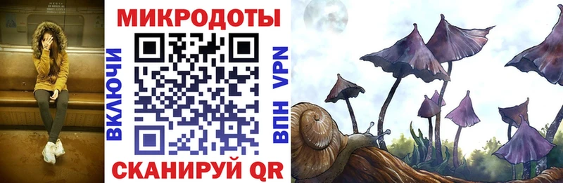 Псилоцибиновые грибы GOLDEN TEACHER  Купить где  Гулькевичи 